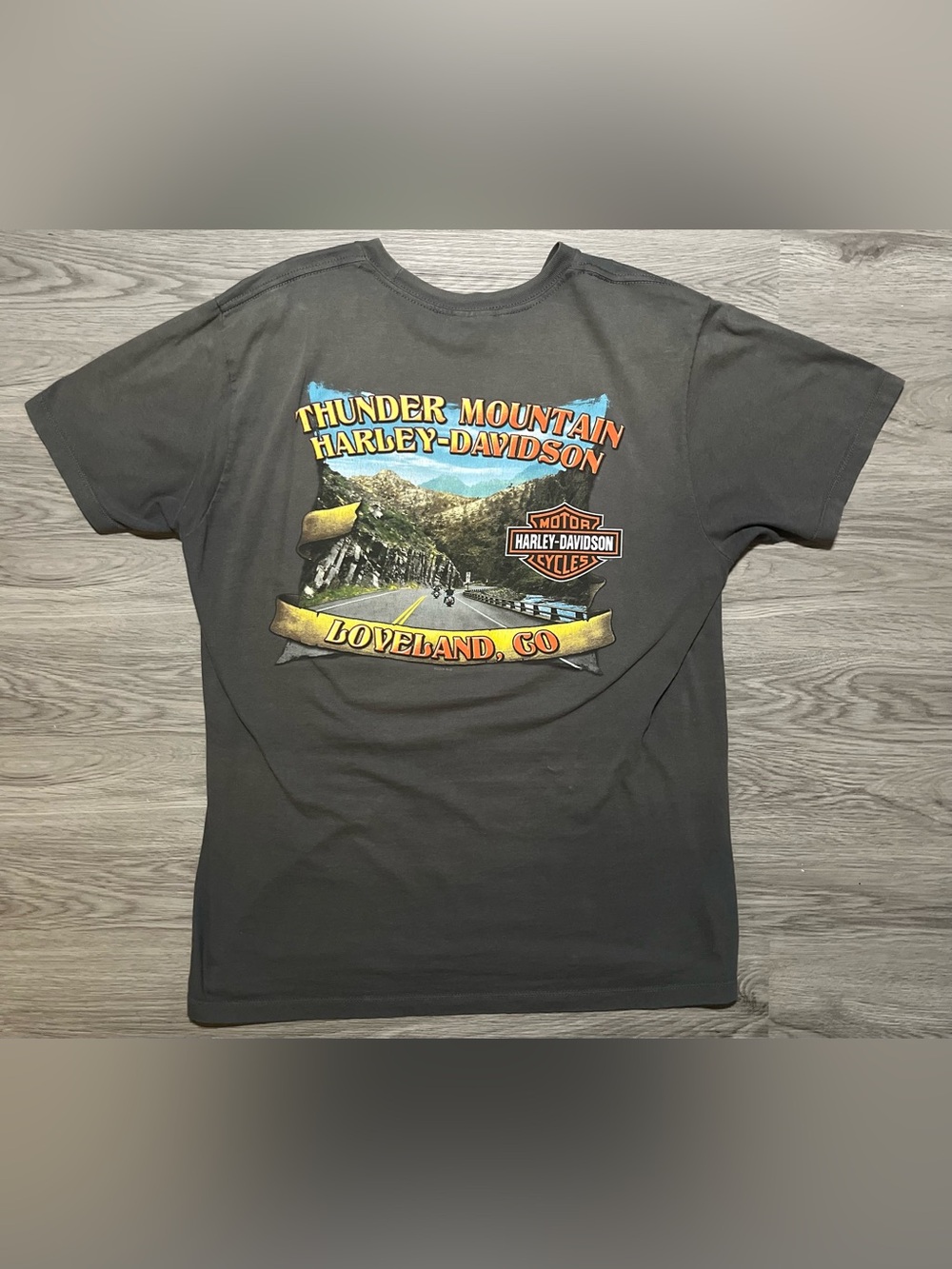 Vintage Harley Davidson double-sided graphic T-shirt thunder Mountain Loveland